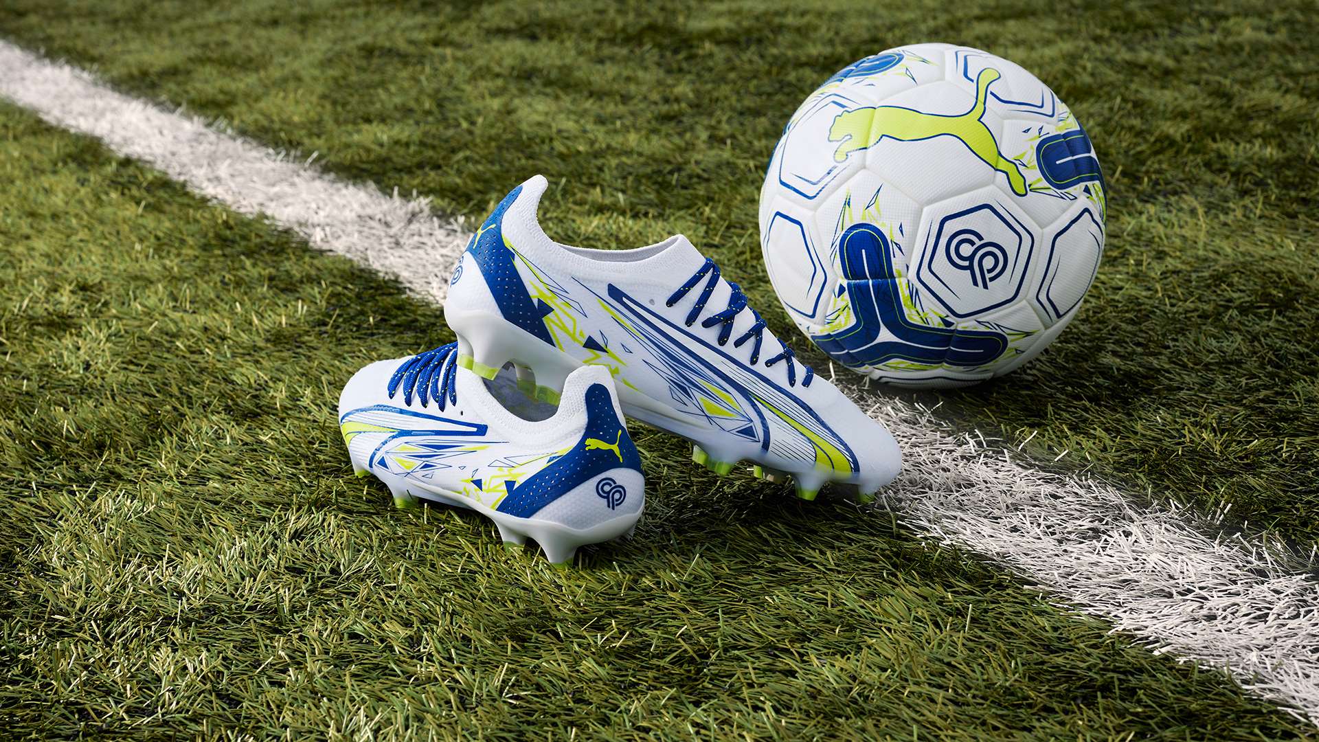 迷们都将在 迷们都将在